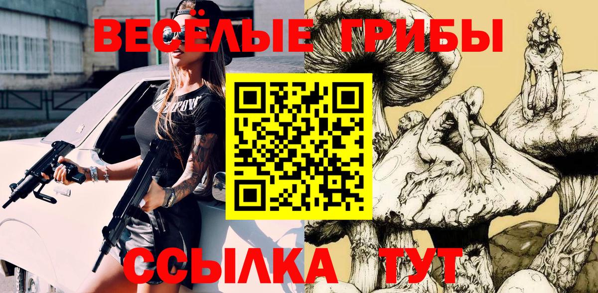 Галлюциногенные грибы GOLDEN TEACHER  Вход с VPN  дарнет шоп  Славянск-на-Кубани 